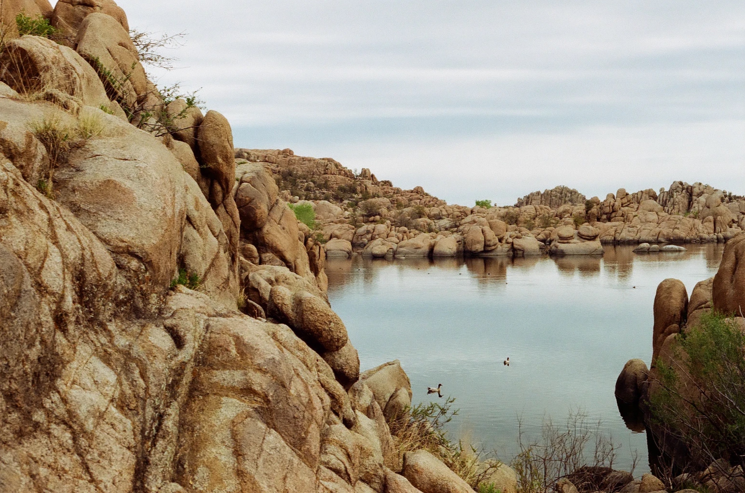 Film Photography, Arizona