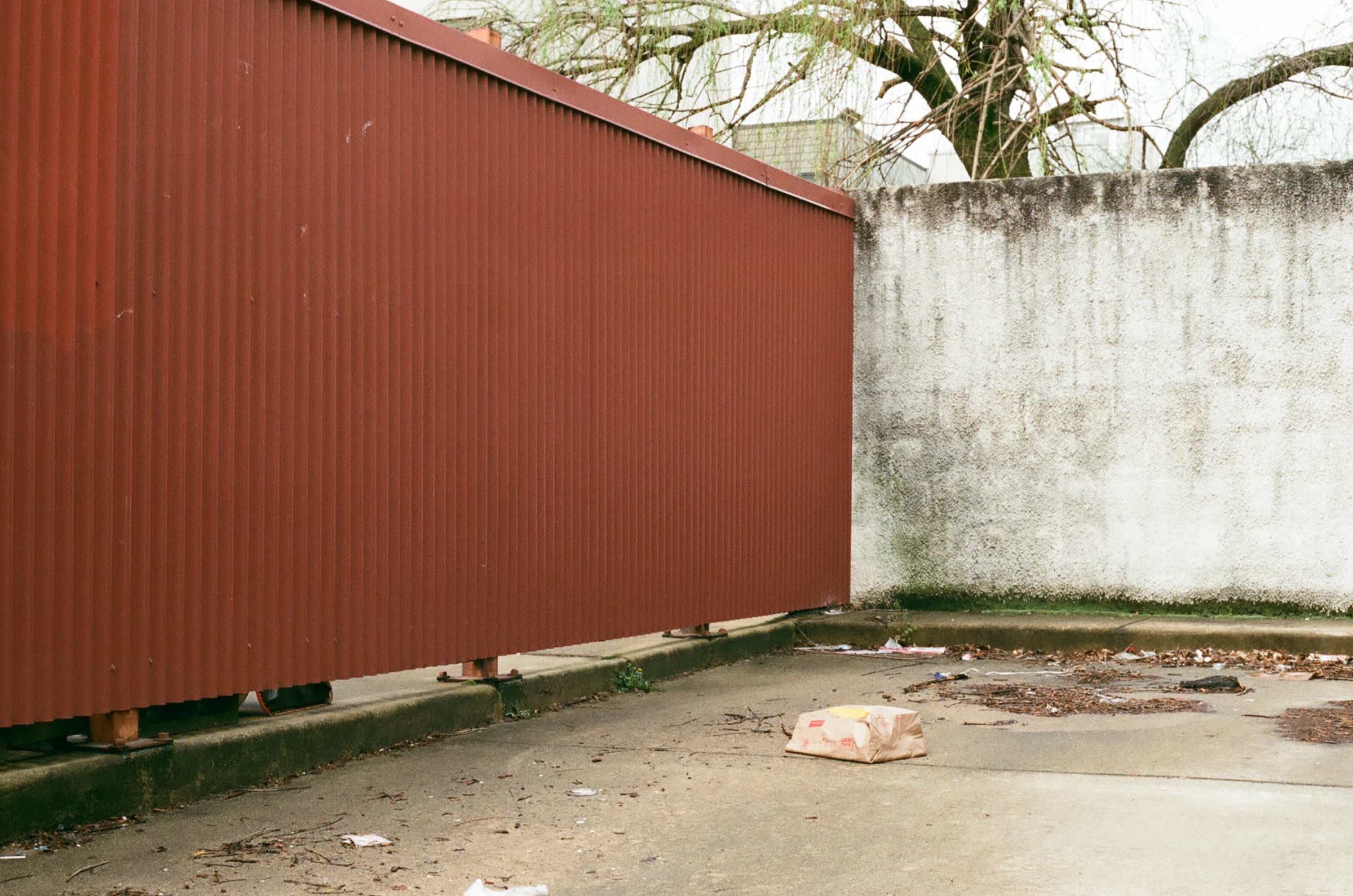 Film Photography