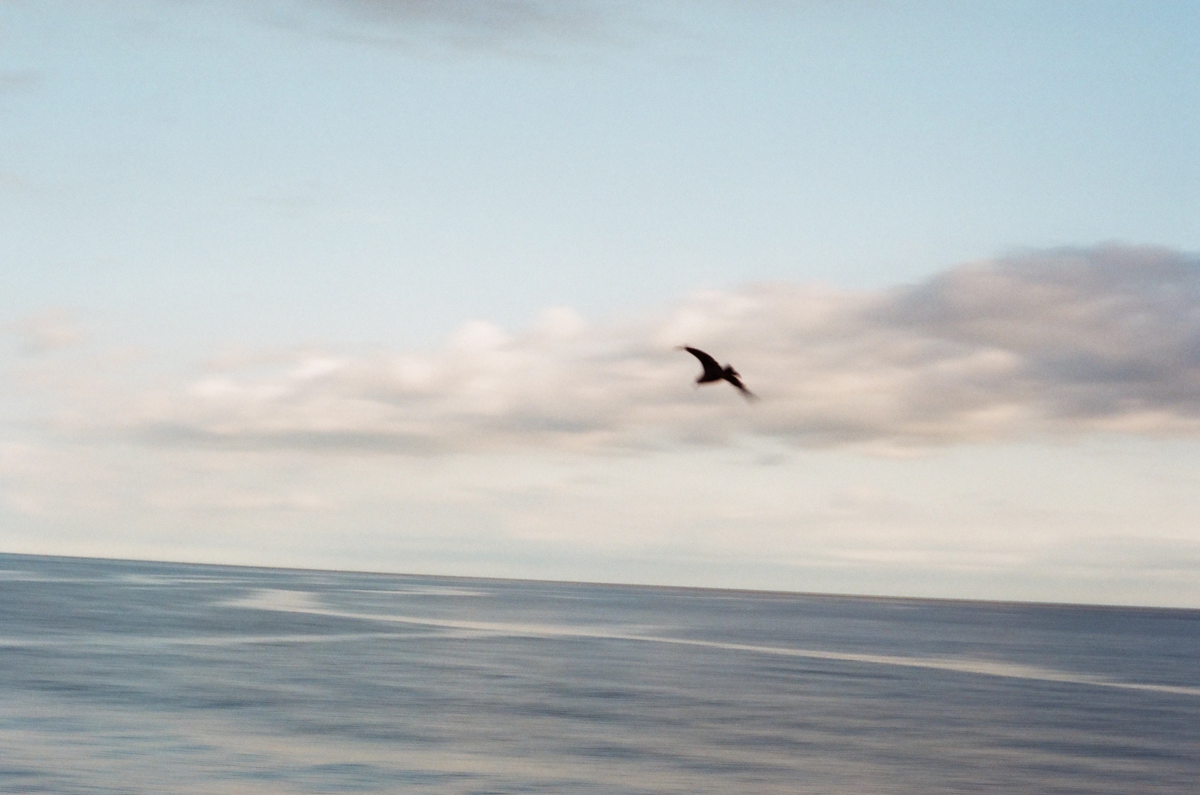 Film Photography